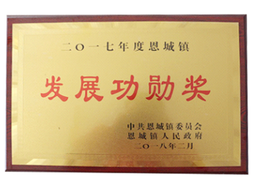 Development Merit Award